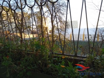 улица Калинина,31 в Ногинске - noginsk.yutvil.ru - фото 5 улица Калинина,31 в Ногинске - noginsk.yutvil.ru - фото 5