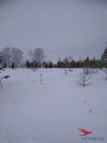 Земельный участок поселок Баженово в Ногинске - noginsk.yutvil.ru - фото 2