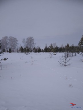 Баженово ул Южная д 7 в Ногинске - noginsk.yutvil.ru - фото 2