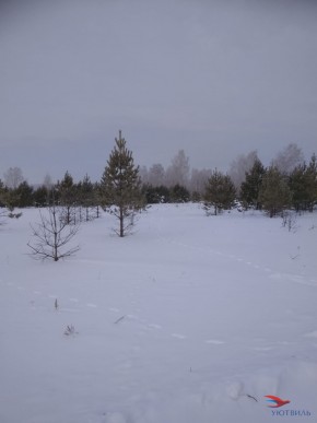 Баженово ул Южная д 7 в Ногинске - noginsk.yutvil.ru - фото 5 Баженово ул Южная д 7 в Ногинске - noginsk.yutvil.ru - фото 5