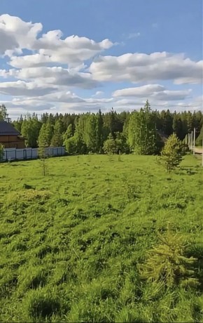 ДП Родной в Ногинске - noginsk.yutvil.ru - фото 3
