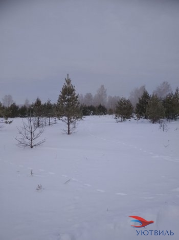 Земельный участок поселок Баженово в Ногинске - noginsk.yutvil.ru - фото 5