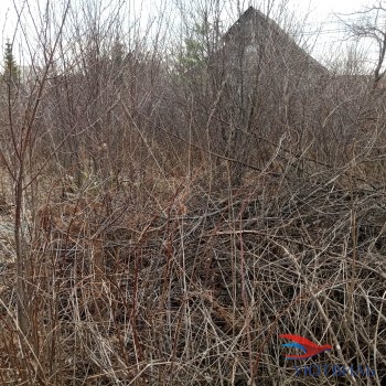 садовый участок в Дуброво-1 в Ногинске - noginsk.yutvil.ru - фото 3 садовый участок в Дуброво-1 в Ногинске - noginsk.yutvil.ru - фото 3