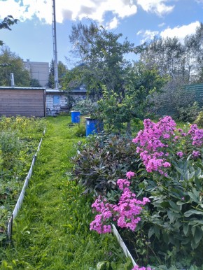 Коллективный сад номер 7, участок 58 в Ногинске - noginsk.yutvil.ru - фото 23 Коллективный сад номер 7, участок 58 в Ногинске - noginsk.yutvil.ru - фото 23