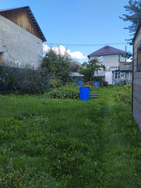 Коллективный сад номер 7, участок 58 в Ногинске - noginsk.yutvil.ru - фото 26 Коллективный сад номер 7, участок 58 в Ногинске - noginsk.yutvil.ru - фото 26