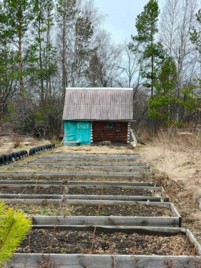 СНТ Родники в Ногинске - noginsk.yutvil.ru - фото 7 СНТ Родники в Ногинске - noginsk.yutvil.ru - фото 7