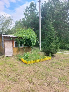 СНТ Родники в Ногинске - noginsk.yutvil.ru - фото 1 СНТ Родники в Ногинске - noginsk.yutvil.ru - фото 1