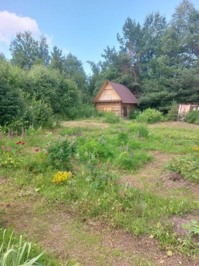 СНТ Родники в Ногинске - noginsk.yutvil.ru - фото 2 СНТ Родники в Ногинске - noginsk.yutvil.ru - фото 2