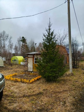 СНТ Родники в Ногинске - noginsk.yutvil.ru - фото 5