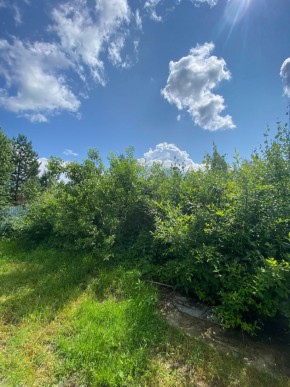СПК Юбилейный, уч. 9 в Ногинске - noginsk.yutvil.ru - фото 14 СПК Юбилейный, уч. 9 в Ногинске - noginsk.yutvil.ru - фото 14