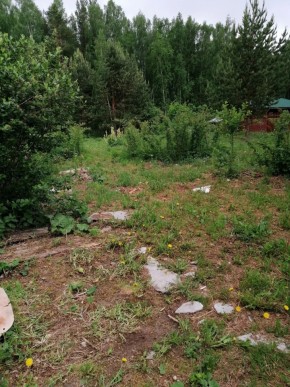 СТН Семья №112, Верхняя пышма на землях бывшего подсобного хозяйтва верхнепышминского опытного завода в Ногинске - noginsk.yutvil.ru - фото 17 СТН Семья №112, Верхняя пышма на землях бывшего подсобного хозяйтва верхнепышминского опытного завода в Ногинске - noginsk.yutvil.ru - фото 17