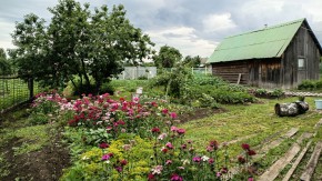 ул. 8-е Марта,46 в Ногинске - noginsk.yutvil.ru - фото 10 ул. 8-е Марта,46 в Ногинске - noginsk.yutvil.ru - фото 10