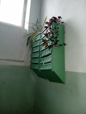ул. Бажова,11 в Ногинске - noginsk.yutvil.ru - фото 3
