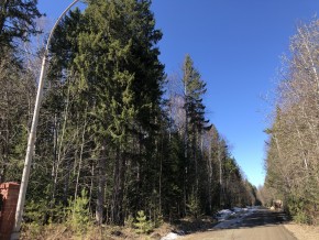 ул. Калиновая,9 в Ногинске - noginsk.yutvil.ru - фото 4