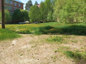 ул. Сосновая, 8 в Ногинске - noginsk.yutvil.ru - фото 33 ул. Сосновая, 8 в Ногинске - noginsk.yutvil.ru - фото 33